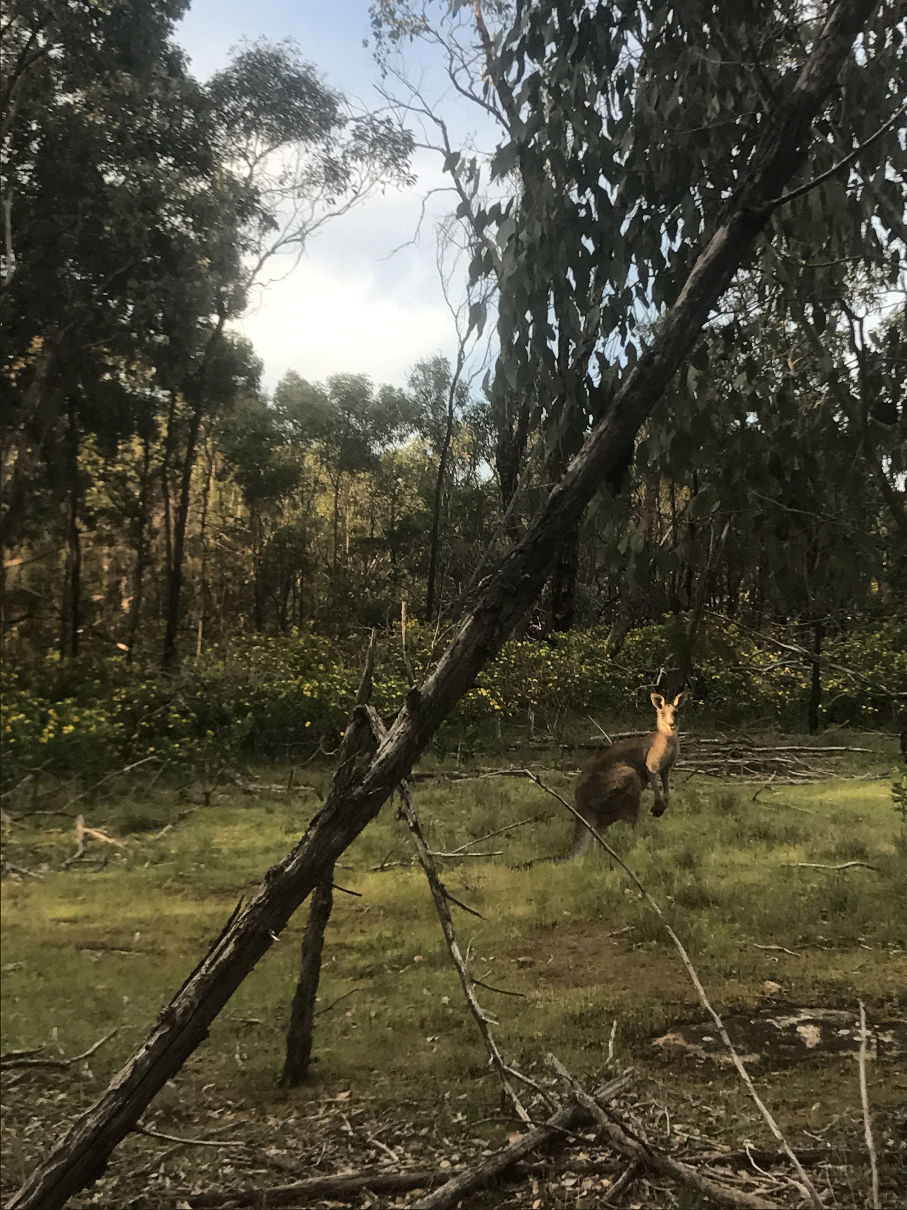 919DA150-6320-4E52-9D24-99852E52E9A9