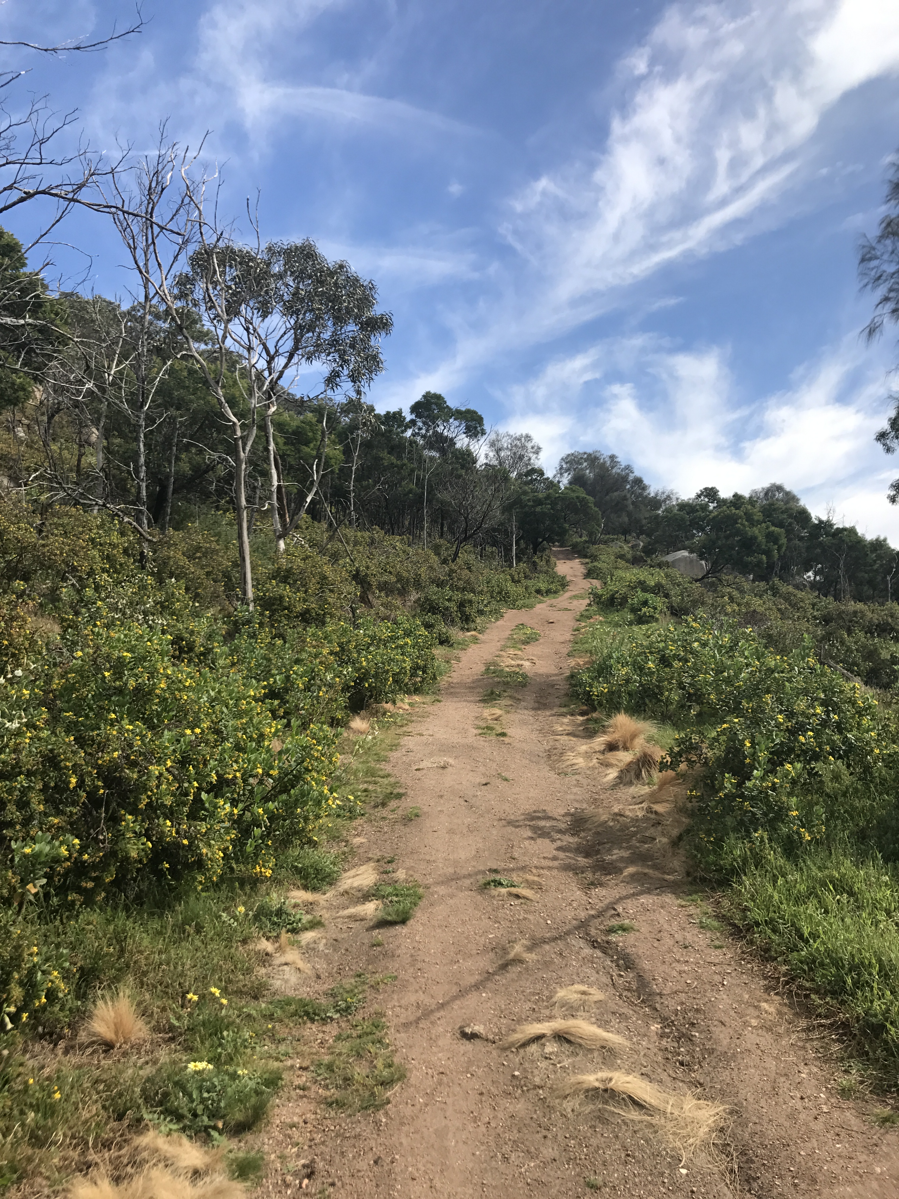 F02C0315-460B-4347-9505-DCA222171412